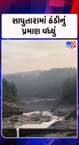 સાપુતારામાં હાડ થીજવતી ઠંડી