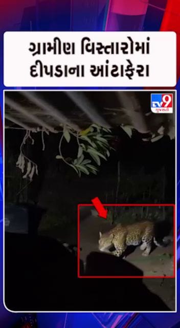 દીપડાના આંટાફેરાથી ફફડાટ