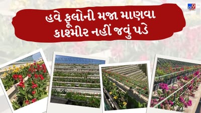 હવે કાશ્મીર નહીં, સુરતમાં જ જોવા મળશે ‘વેલી ઓફ ફ્લાવર્સ, શોપિંગ સાથે પ્રકૃતિનો અદભુત અનુભવ