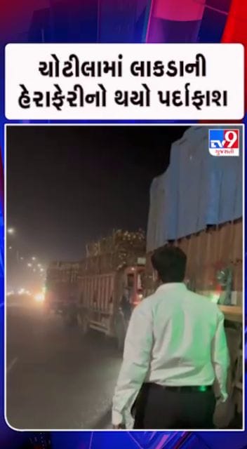 લીલા લાકડાની હેરાફેરી !