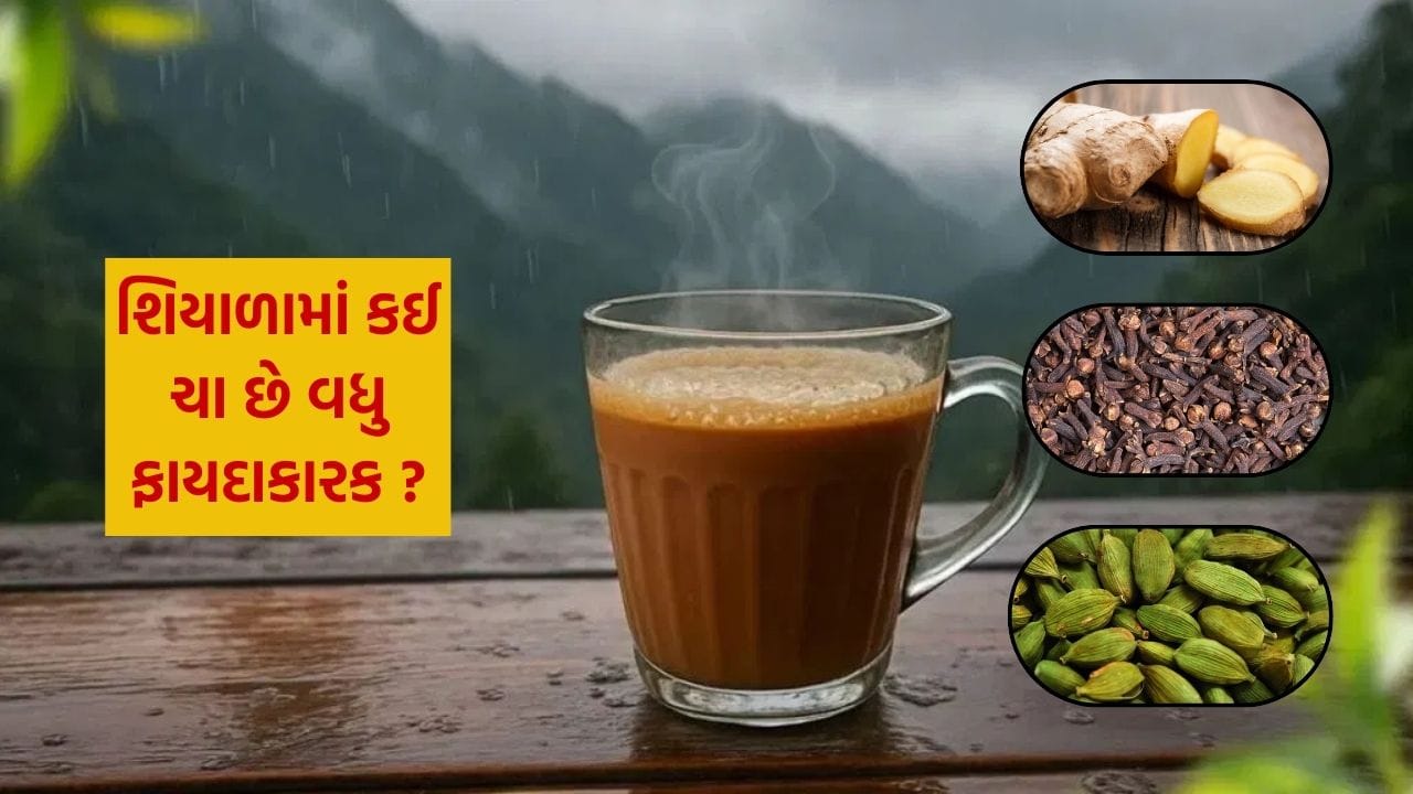 લવિંગ, એલચી કે આદુવાળી ચા? શિયાળામાં કઈ ચા છે વધુ ફાયદાકારક, જાણો ...