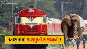 રાજધાની એક્સપ્રેસની અડફેટે 8 હાથીના કમકમાટી ભર્યા મોત