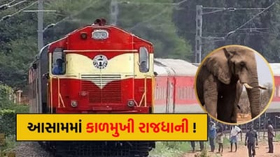 આસામમાં કાળમુખી રાજધાની ! ટ્રેન સાથે અથડાતા 8 હાથીના મોત, 5 ડબ્બા પાટા પરથી ઉતર્યા