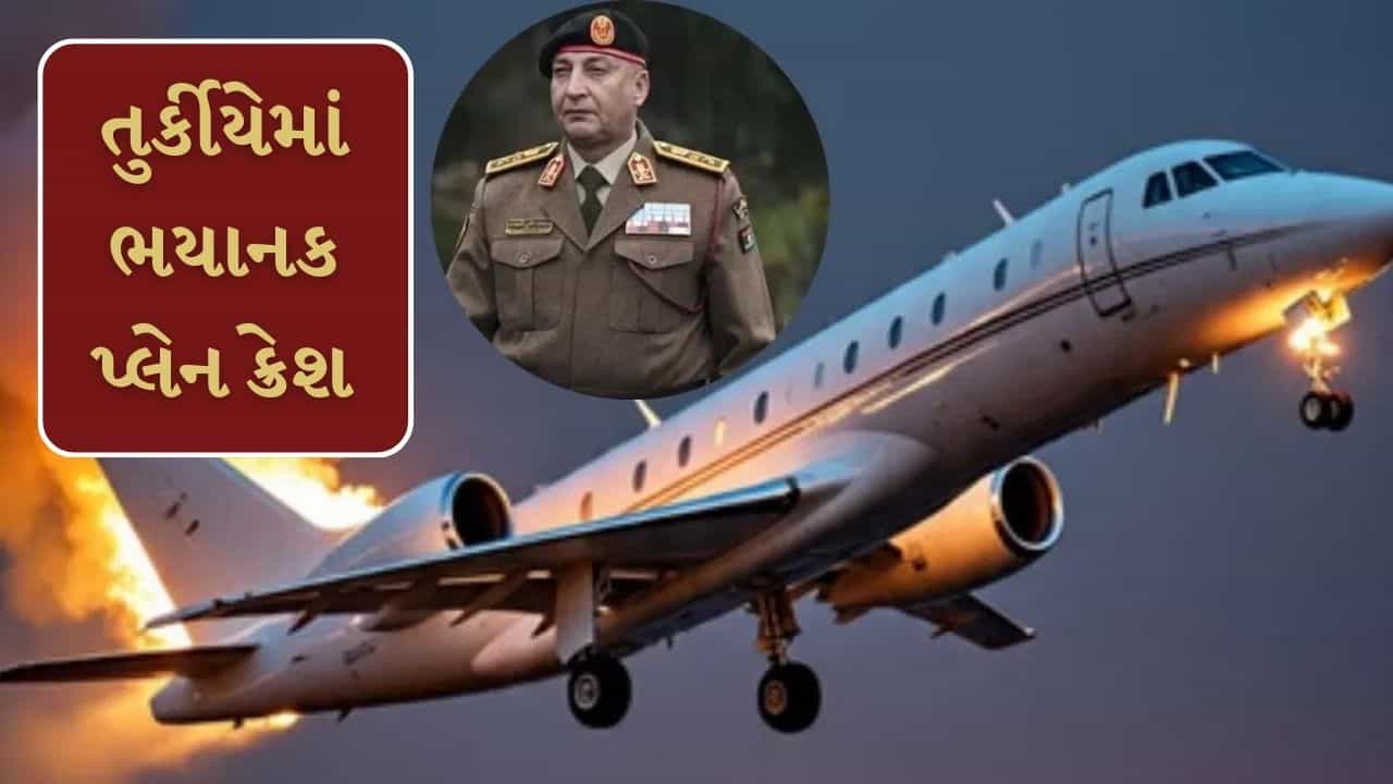 Breaking News: તુર્કીયેમાં મોટી વિમાન દુર્ઘટના, લિબિયન લશ્કરી વડા સહિત 8 લોકોના મોત