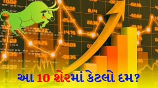 Stock Market : આ શેર્સ રોકાણકારોને ગજબનું રિટર્ન આપી શકે છે ! એક્સપર્ટ્સે આ 10 સ્ટોક પર આંખ બંધ કરીને રોકાણ કરવા કહ્યું