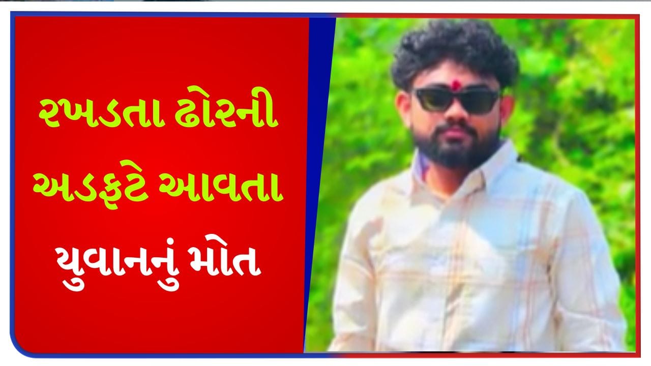ભાવનગરમાં રખડતા ઢોરે લીધો યુવકનો ભોગ! તળાજા હાઇવે પર ઢોરે અડફેટે લેતા 21 વર્ષીય યુવકનું મોત, લોકોમાં ભારે રોષ – જુઓ Video