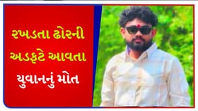 તળાજા હાઇવે પર રખડતા ઢોરે લીધો યુવકનો ભોગ - જુઓ Video