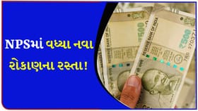 NPSમાં 'સોનું, ચાંદી અને IPO' રિટાયરમેન્ટ સ્ટ્રેટેજી માટે ગેમચેન્જર?