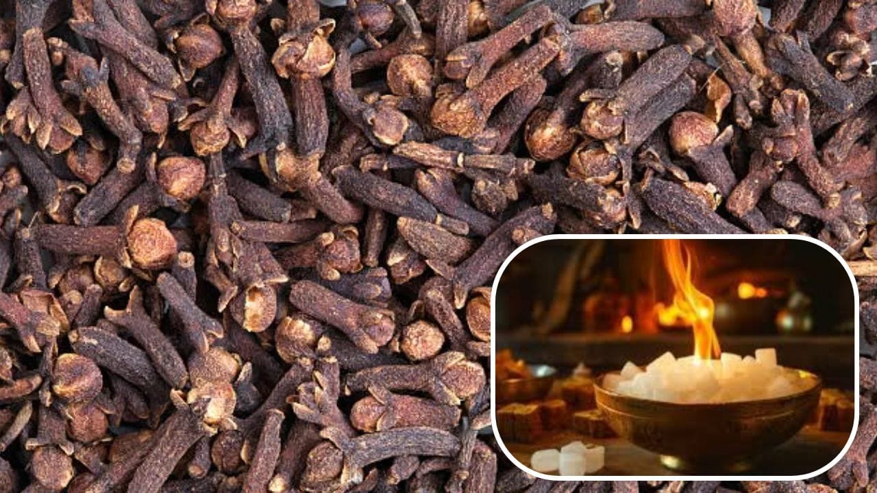 દરરોજ સાંજે 2 લવિંગ સાથે કપૂર બાળવાથી ઘરમાં સકારાત્મક ઉર્જા આવે છે. આ ઉપાય ઘરમાં સુખ, સમૃદ્ધિ, શાંતિ અને માનસિક સ્થિરતા લાવવામાં મદદ કરે છે.