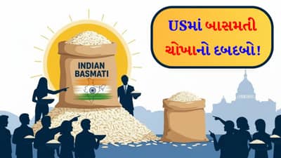 વિદેશીઓને લાગ્યો ચોખાનો ચસ્કો ! ભારતીય બાસમતી આગળ અમેરિકન ટેક્સમતી પણ ફેલ, શું ટ્રમ્પ વધારાનો ટેરિફ લાદશે કે પછી...?