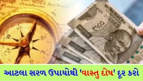 પૈસા ખર્ચ્યા વિના તમે તમારા ઘરનું વાસ્તુ દોષ કેવી રીતે દૂર કરશો?