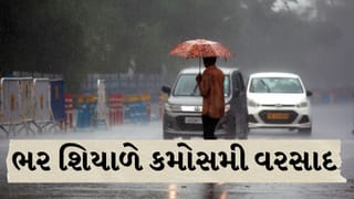 Breaking News : પોરબંદરમાં આવ્યો વાતાવરણમાં પલટો, ભર શિયાળે કમોસમી વરસાદ વરસ્યો, જુઓ Video