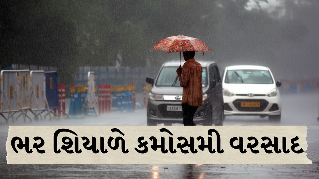 Breaking News : પોરબંદરમાં આવ્યો વાતાવરણમાં પલટો, ભર શિયાળે કમોસમી વરસાદ વરસ્યો, જુઓ Video Breaking News : પોરબંદરમાં આવ્યો વાતાવરણમાં પલટો, ભર શિયાળે કમોસમી વરસાદ વરસ્યો, જુઓ Video