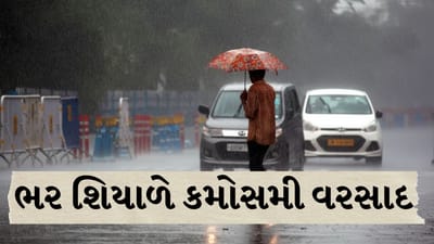 Breaking News : પોરબંદરમાં આવ્યો વાતાવરણમાં પલટો, ભર શિયાળે કમોસમી વરસાદ વરસ્યો, જુઓ Video Breaking News : પોરબંદરમાં આવ્યો વાતાવરણમાં પલટો, ભર શિયાળે કમોસમી વરસાદ વરસ્યો, જુઓ Video