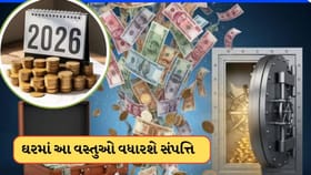 2026 શરૂ થાય તે પહેલાં ઘરમાં લાવો આ વસ્તુ, ધનની થશે વર્ષા