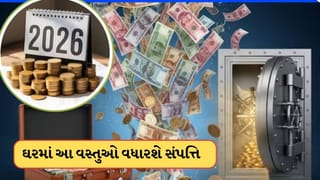 2026 શરૂ થાય તે પહેલાં ઘરમાં લાવો આ વસ્તુ, ધનની થશે વર્ષા