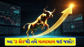 10x રિટર્ન! આ બંને સ્ટોક તમારા માટે 'ગેમ-ચેન્જર' સાબિત થશે