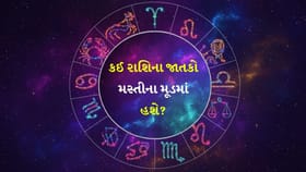 તમારું સ્વાસ્થ્ય એકંદરે સારું રહેશે, વ્યવસાયિક સંપર્કોમાં સુધારો થશે