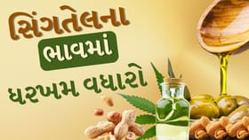 સિંગતેલના ભાવમાં એક જ દિવસમાં 40 રુપિયાનો ધરખમ વધારો