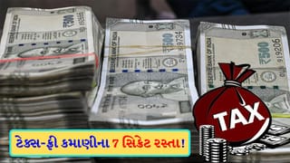 ‘ટેક્સ’ ભરવાની ઝંઝટ છોડો! મહેનતની કમાણી પર ‘કર’ નહીં લાગવા દે આ ‘7 ઇન્કમ અને ઇન્વેસ્ટમેન્ટ’ ઓપ્શન, શું તમને આ ‘સિક્રેટ’ ખબર છે?