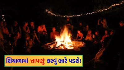 શિયાળામાં લાકડાં સળગાવવા પડી શકે છે 'ભારે', ધુમાડાથી વધી રહ્યું છે 'મોતનું જોખમ'