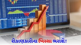 બેંગલુરુની આ કંપની રોકાણકારોને 300% જેટલું 'ડિવિડન્ડ' આપશે