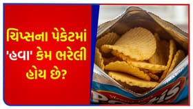 ચિપ્સના પેકેટમાં 'હવા' કેમ ભરેલી હોય છે? આની પાછળનું રસપ્રદ કારણ શું?
