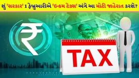 1 ફેબ્રુઆરીના રોજ બજેટમાં સરકાર કરી શકે છે એક 'મહત્ત્વપૂર્ણ એલાન'