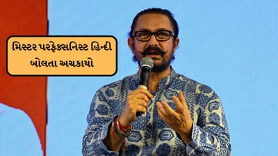 હિન્દી બોલવામાં ખચકાટ અનુભવતા આ દિગ્ગજ સ્ટારને લોકોએ કહ્યું, ભાઈ તારું ઘર હિન્દી ફિલ્મોથી ચાલે છે