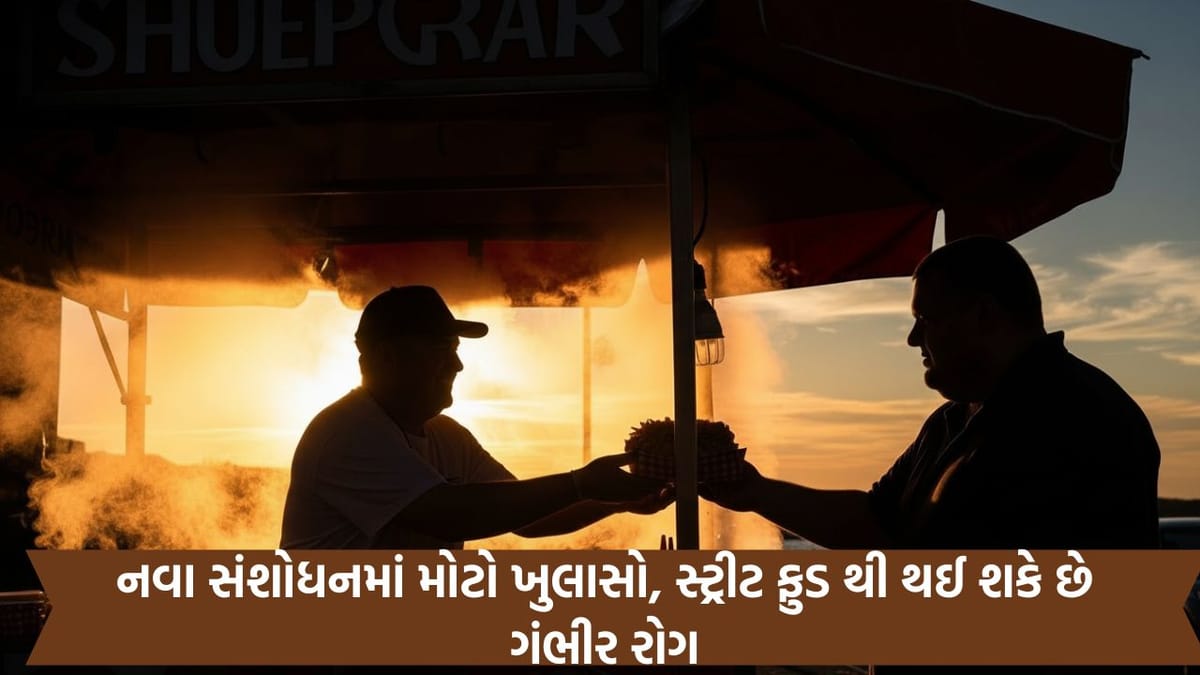 બર્ગર, ચાઉમીન અને મોમોઝ જેવા ફાસ્ટ-ફૂડથી થાય છે જીવલેણ રોગ- વાંચો