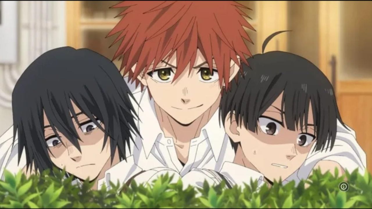 જાપાનીઝ એનીયમે સીરીઝ 'The Fragrant Flower Blooms with Dignity' એક હૃદય સ્પર્શી રોમેન્ટિક સ્લાઈસ-ઓફ-લાઈફ ડ્રામા છે, જે બે અલગ-અલગ સામાજિક પૃષ્ઠભૂમિ ધરાવતી શાળાઓના વિદ્યાર્થીઓ, રિનટારો સુમુગી (વોઈસ: યોશિનોરી નાકાયામા) અને કૌરુકો વાગુરી (વોઈસ: હોનોકા ઈનોઉ) વચ્ચેના નિર્મળ સંબંધો પર આધારિત છે. કુલ 13 એપિસોડની આ સીરીઝમાં હાઈ-સ્કૂલ જીવનની લાગણીઓ અને સામાજિક પૂર્વગ્રહોને તોડતી સમજણની સફરને અત્યંત સુંદર રીતે વણી લેવામાં આવી છે, જેમાં શોહેઈ ઉસામી અને સાકુ નાત્સુસાવા જેવા પાત્રો વાર્તામાં ઊંડાણ ઉમેરે છે. દરેક 24 મિનિટનો એપિસોડ દર્શકોને પ્રથમ પ્રેમ અને મિત્રતાનો એક હૂંફાળો અનુભવ કરાવે છે, જે તેને ખાસ કરીને યુવા પ્રેક્ષકો અને રોમેન્ટિક ડ્રામા પ્રેમીઓ માટે એક આદર્શ પસંદગી બનાવે છે.