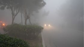 શિયાળામાં દેખાતું ધુમ્મસ કેવી રીતે બને છે? તેની પાછળનું વિજ્ઞાન જાણો