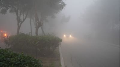 શું તમે ક્યારે વિચાર્યું છે કે શિયાળામાં દેખાતું ધુમ્મસ કેવી રીતે બને છે?