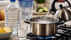 પાણીના વકરતા રોગથી બચવા આ નુસ્ખાઓ અપનાવો