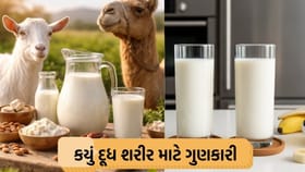 શું તમે સુપર પાવર દૂધ વિશે જાણો છો..?