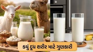 2000 રુપિયે લીટર મળે છે આ સુપર પાવર દૂધ, જેના વિશે તમે નહીં જાણતા હોવ, જાણો લાભ!