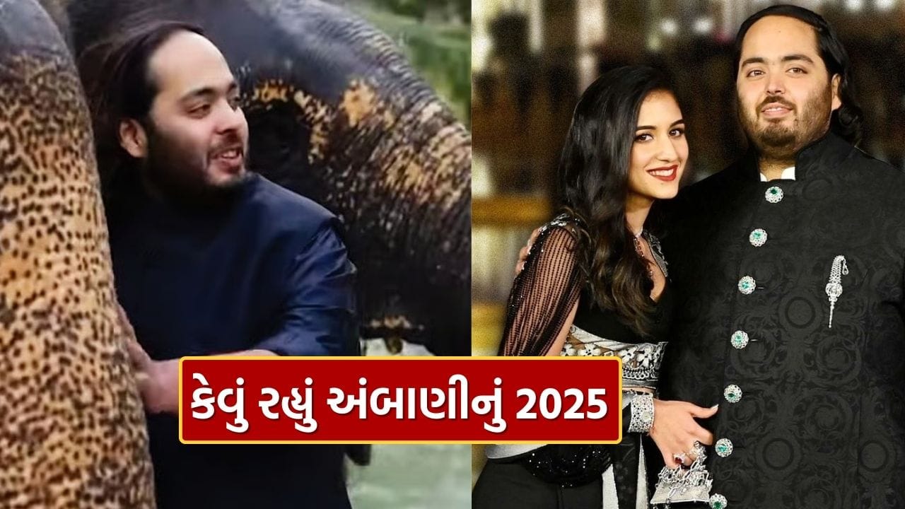 Anant Ambani's Journey: From Executive Director of Reliance to Service Sector... Know what 2025 has been like for Anant Ambani
