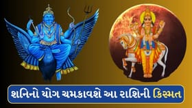 30 વર્ષ બાદ શનિ બનાવશે ખાસ યોગ, ચમકશે આ 3 રાશિની કિસ્મત