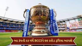 IPL બીસીસીઆઈ ખજાનો ભરશે
