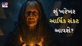 Baba Vanga Predictions 2026 : અર્થવ્યવસ્થા ડામાડોળ થઇ જશે