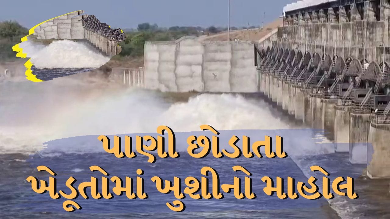 Breaking News : ધોરાજીના ભાદર-2 ડેમમાંથી સિંચાઈ માટે પાણી છોડાતા કયા કયા વિસ્તારોને લાભ મળશે, જુઓ Video Breaking News : ધોરાજીના ભાદર-2 ડેમમાંથી સિંચાઈ માટે પાણી છોડાતા કયા કયા વિસ્તારોને લાભ મળશે, જુઓ Video