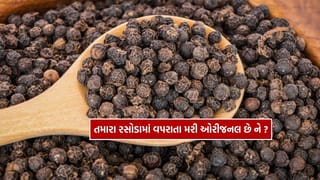 Black Pepper adulteration : તમારા રસોડામાં વપરાતા મરી ભેળસેળ વાળા નથીને ? જાણો તેને કેવી રીતે ઓળખશો..