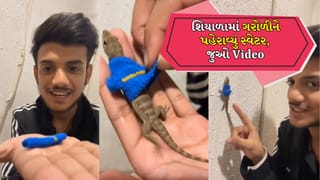 Funny Video: લો બોલો! છોકરાએ ગરોળીને પહેરાવ્યું સ્વેટર, શું તમે ક્યારેય આવું જોયું છે?