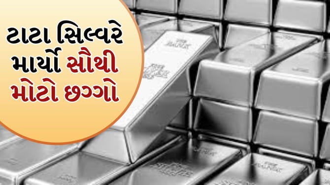 Silver ETF રિટર્ન્સે ચોંકાવ્યા, ટાટા સિલ્વરે માર્યો સૌથી મોટો છગ્ગો