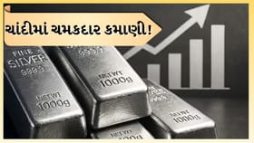 ટાટા સિલ્વરે અઠવાડિયામાં 24%થી વધુ રિટર્ન આપી બધાને પાછળ છોડ્યા