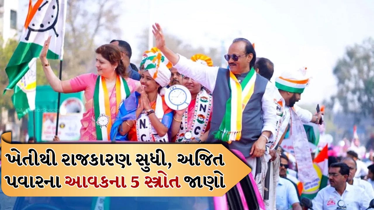 અજિત પવાર ફક્ત ધારાસભ્ય તરીકે મળતા પગાર પર આધાર રાખતા નથી, પરંતુ તેમની પાસે આવકના કુલ પાંચ સ્ત્રોત છે. આ દ્વારા તેમણે કરોડોની સંપત્તિ કમાઈ છે. ચાલો આ ફોટો ગેલરીમાં તેમના આવકના સ્ત્રોતો પર એક નજર કરીએ...