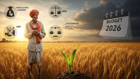 MSP, સબસિડી અને દેવા રાહત અંગે શું છે ખેડૂતોની બજેટમાં અપેક્ષા ?