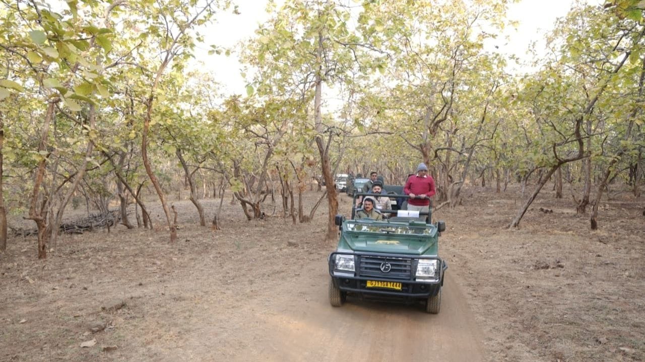 મુખ્યપ્રધાન ભુપેન્દ્ર પટેલે ગીરની મુલાકાત લીધી હતી. જે ફોટો તેના સોશિયલ મીડિયા પર પોસ્ટ કરી લખ્યું કે,ગીરની સવાર ખરેખર અદભુત છે!સ્વચ્છ હવા, જંગલ પ્રદેશનું રમણીય પ્રાકૃતિક સૌંદર્ય, અને ગુજરાતની શાન સમા સાવજ.આજે વહેલી સવારે જંગલ સફારીનો અનુભવ અવિસ્મરણીય બની રહ્યો.