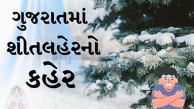Breaking News : શીતલહેરનો કહેર, ઠંડા પવન ફૂંકાતા લોકોની હાલાકી વધી
