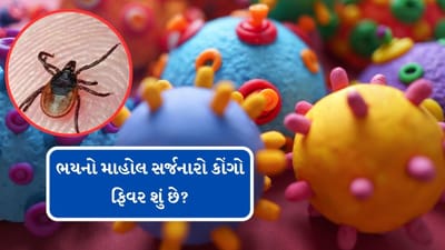 Breaking News : ગાંધીનગરમાં ટાઈફોઈડ બાદ કોંગો ફીવરનો શંકાસ્પદ કેસ સામે આવ્યો, 25 દિવસ પહેલા યુવક રાજસ્થાનથી પશુઓ લાવ્યો હતો